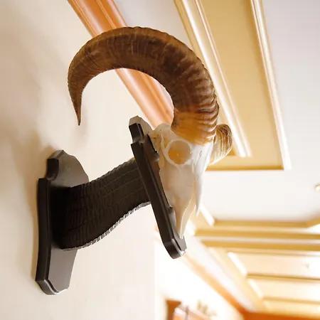 호텔 그루버 Steinheim