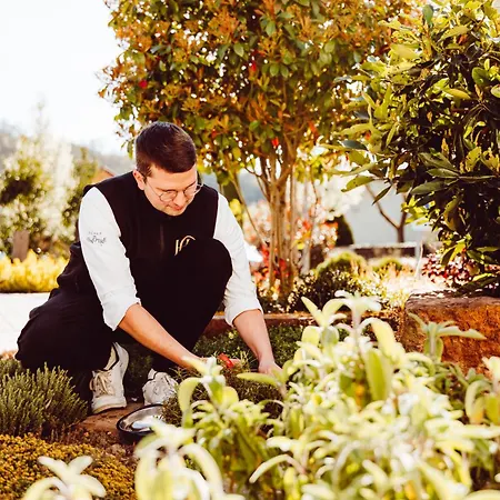 호텔 그루버 Steinheim