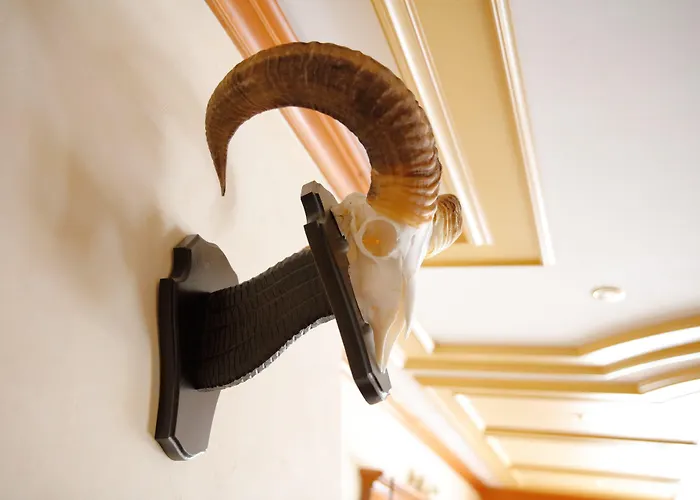 Hotel Gruber Steinheim